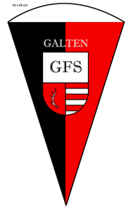 gfs-hold-flag-medium